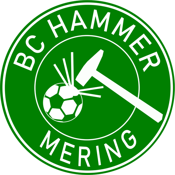 CT Badelatschen BC Hammer - grün/weiß - rund