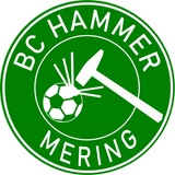 CT Badelatschen BC Hammer - grün/weiß - Schrift