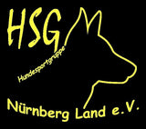 Clique Miami Roundneck - HSG Nürnberger Land e.V. - Druck beidseitig